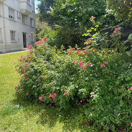 Dernier Etage Terrasse Pte St Coud Appartamento